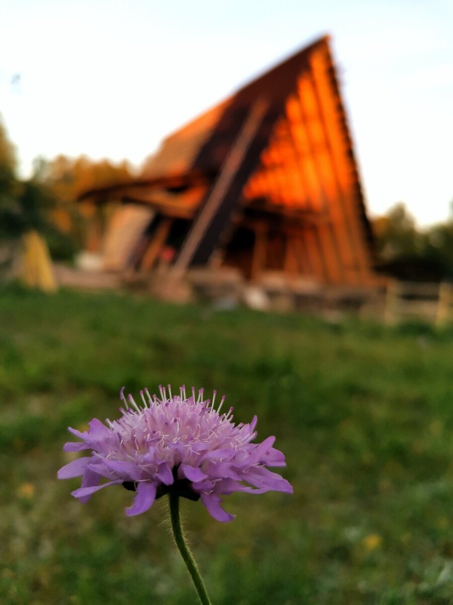 Что такое дом-шалаш