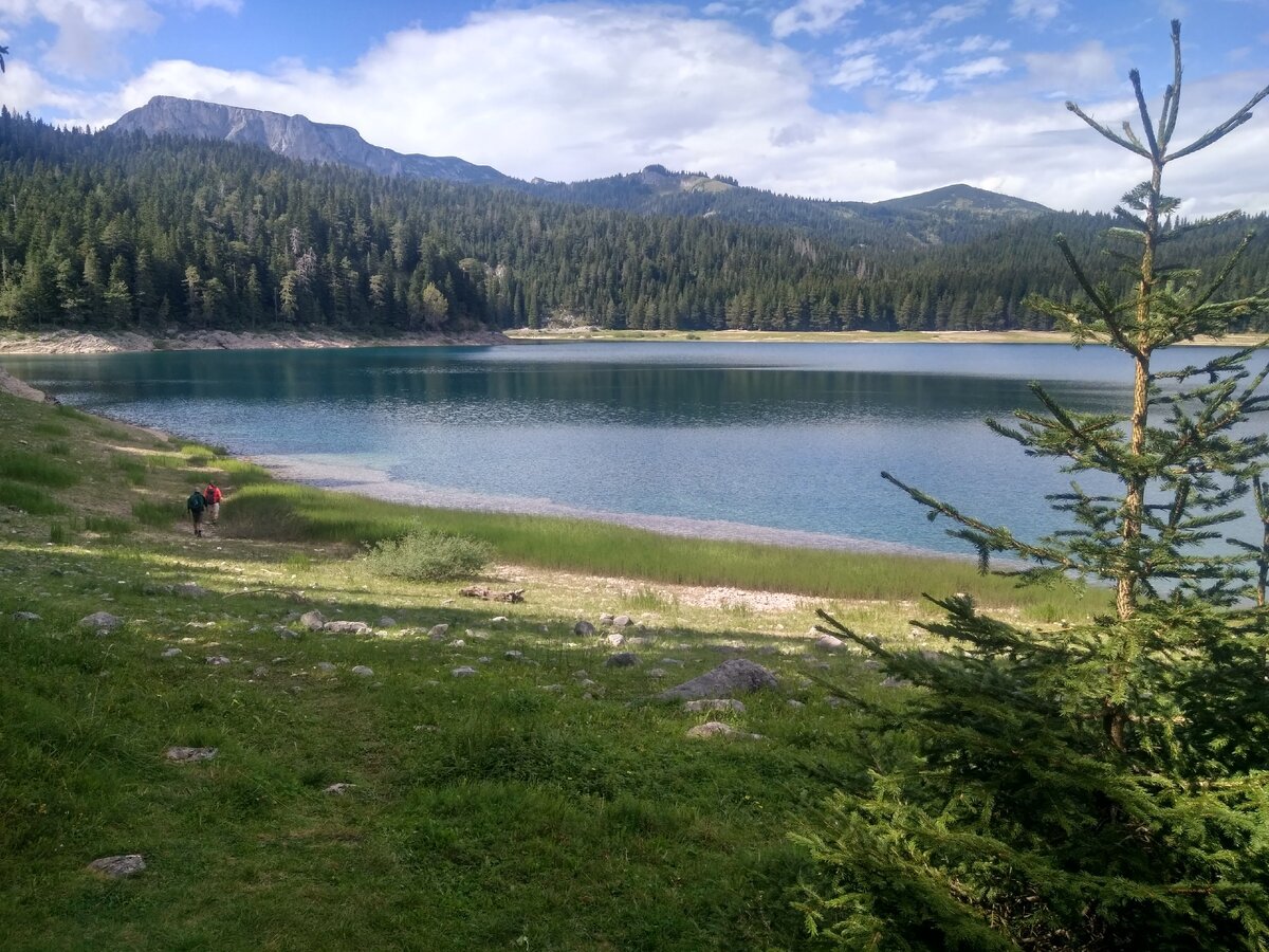 Чёрное озеро. Национальный парк Дурмитор.