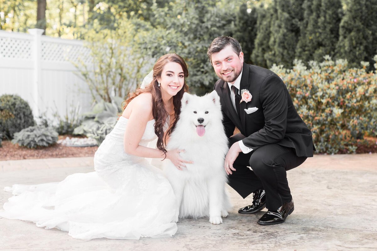 Фото из свободного источника freepic.com