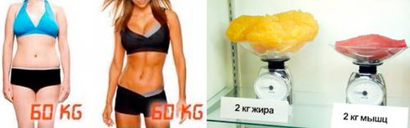2 кг жира и 2 кг мышц выглядят совершенно по разному, так же как и 60 кг жира и мышц