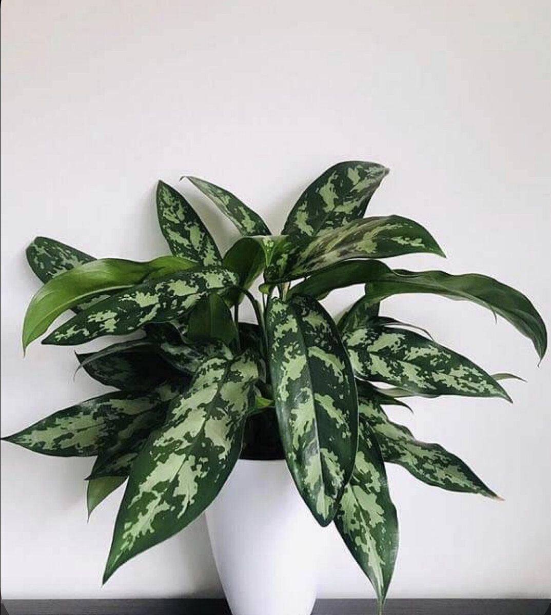 Фото из открытого источника freepic.com