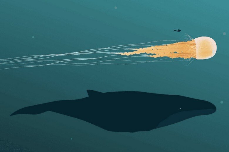 Источник изображения: shnyagi.net