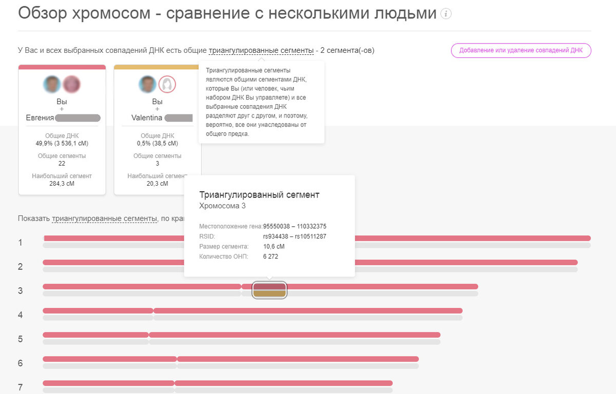 Как узнать результат теста. Результат генеалогического днк-теста. генетический тест результаты. генетический анализ национальной принадлежности. днк тест на происхождение.