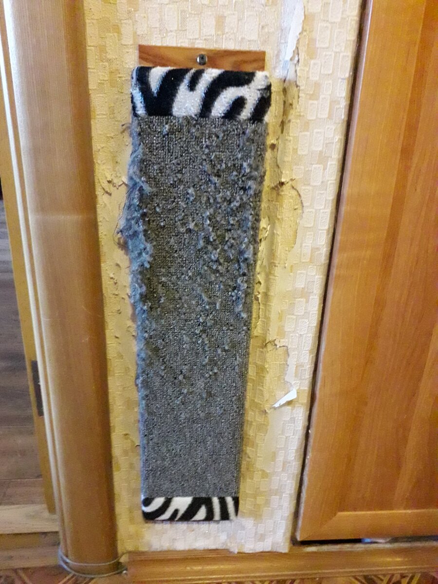 Любимая когтеточка Васьки