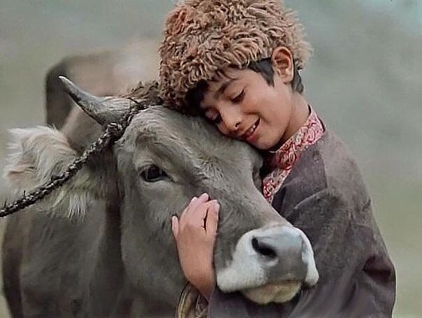 На этой сцене трудно сдержать слезы. Фото Яндекс.Картинки. 