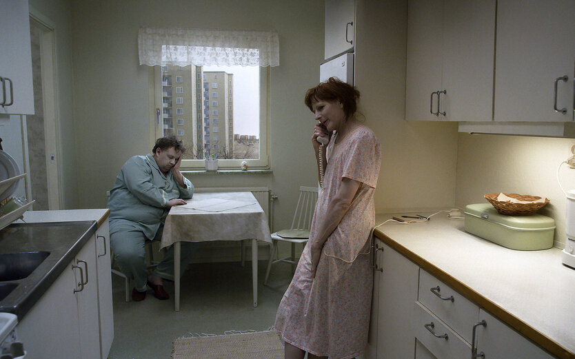 "Голубь сидел на ветке, размышляя о бытии"/ En duva satt på en gren och funderade på tillvaron, 2014