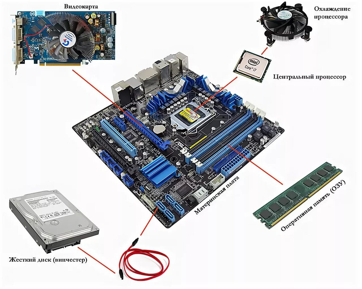 Оперативная видеокарта. Системный блок материнская плата процессор. Состав системного блока материнская плата. Материнская плата как выглядит в компе. Видеокарта Оперативная память процессор жёсткий диск.