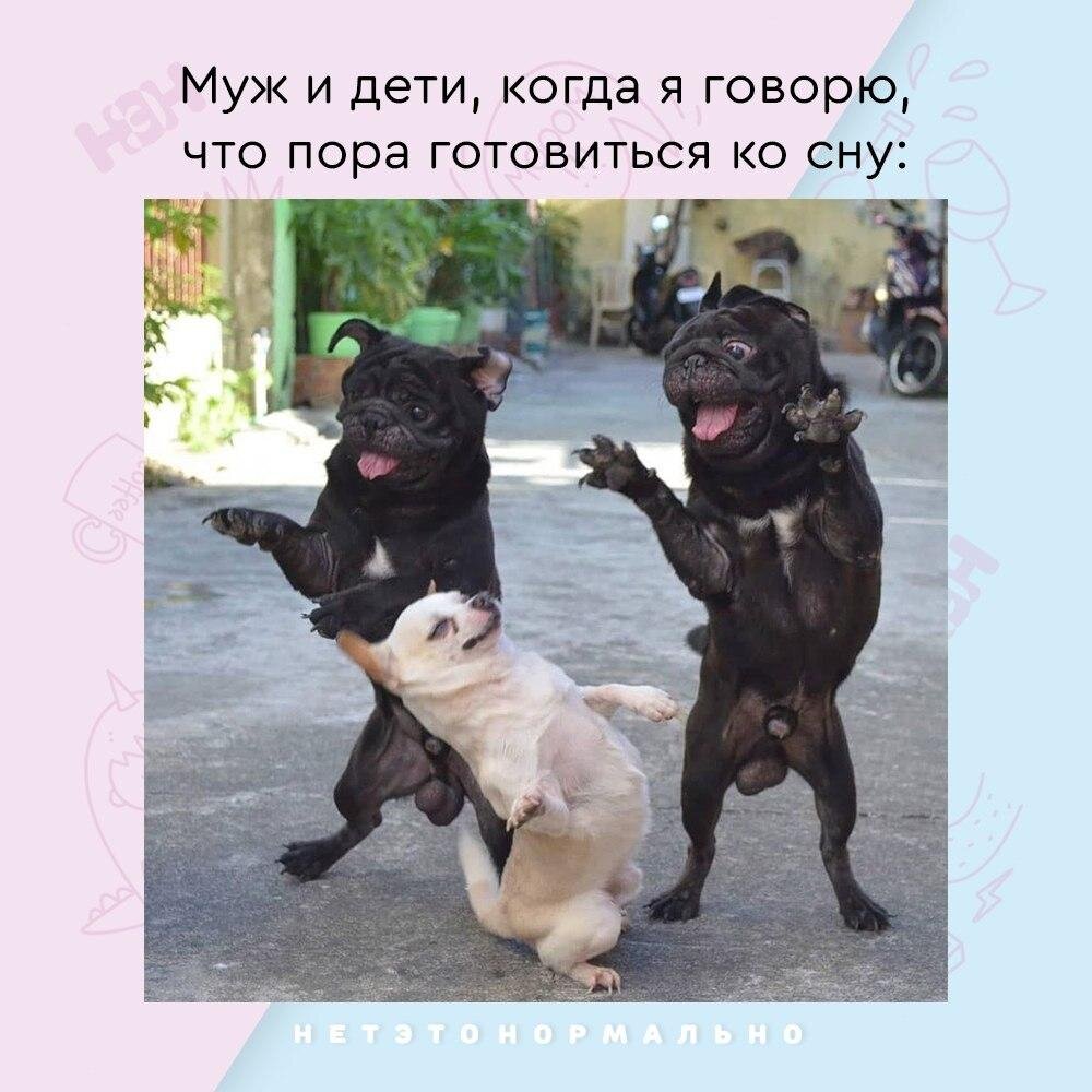 Мемы о родительстве для молодых мам и пап | НЭН – Нет, это нормально | Дзен