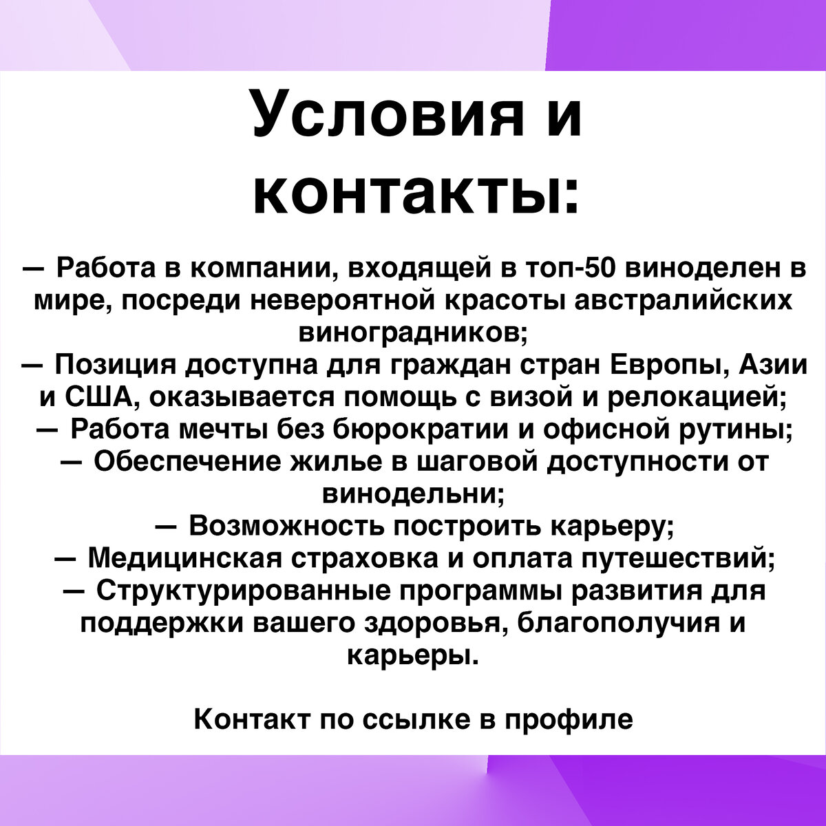 Сколько зарабатывают виноделы в Австралии и почему это работа мечты:  вакансия. | Работа для людей | Дзен