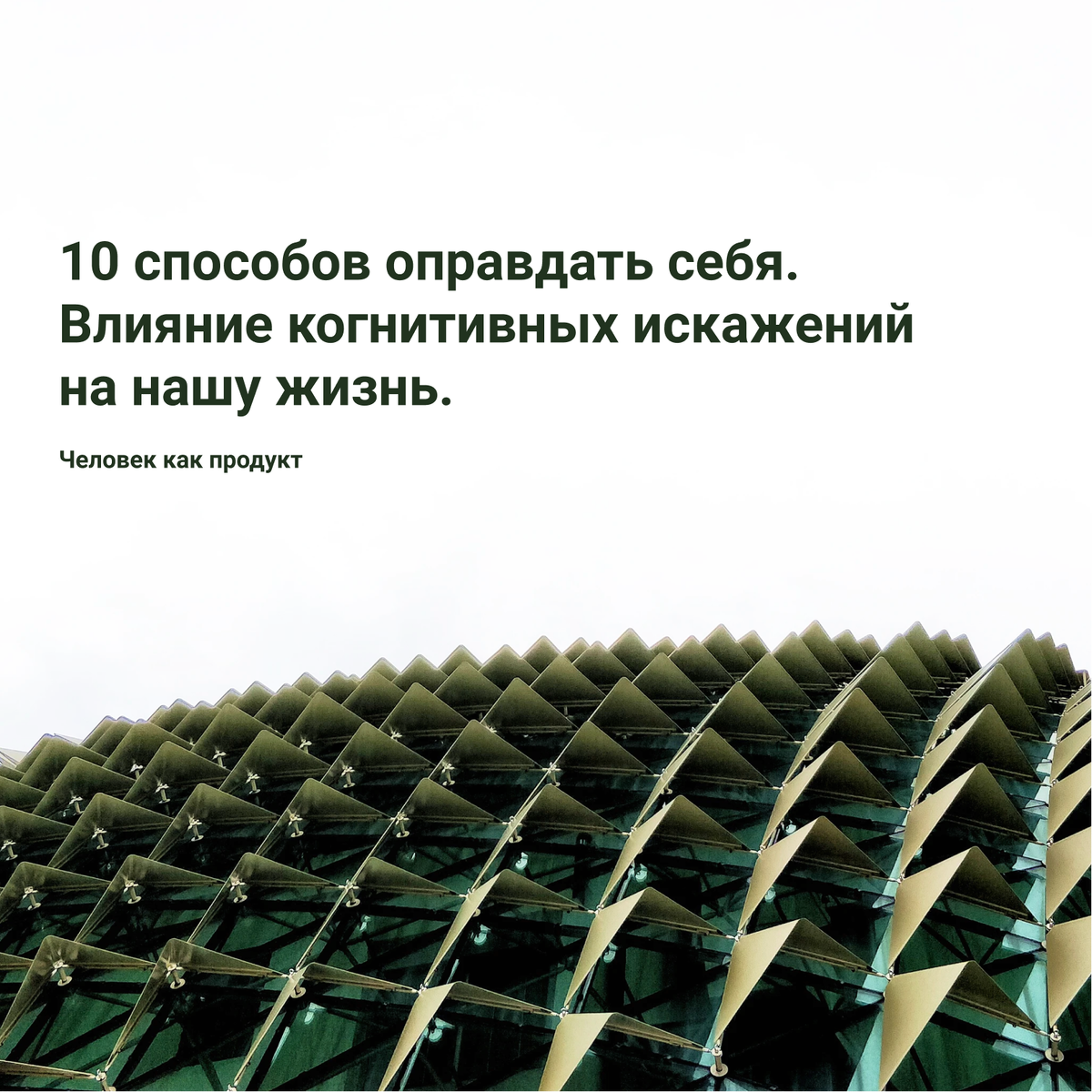 #мозг #cognitive bias