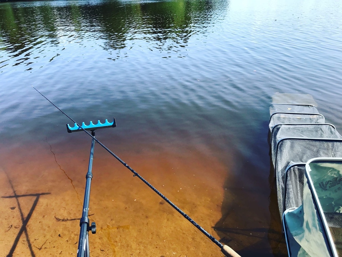 мой любимый вид)