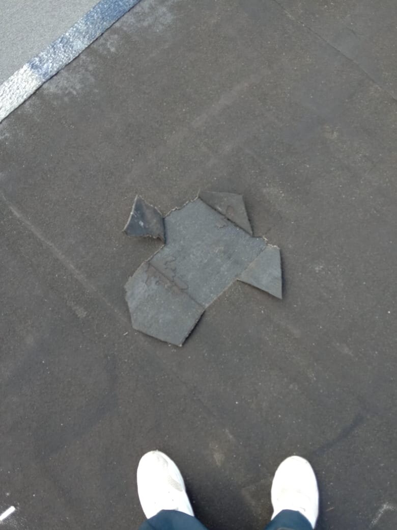 Вскрыли все пузыри и просушили их