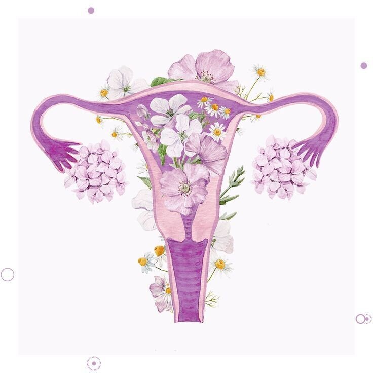 Решила вставить такую красивую картинку, чтобы не пугать вас(❁´◡`❁)