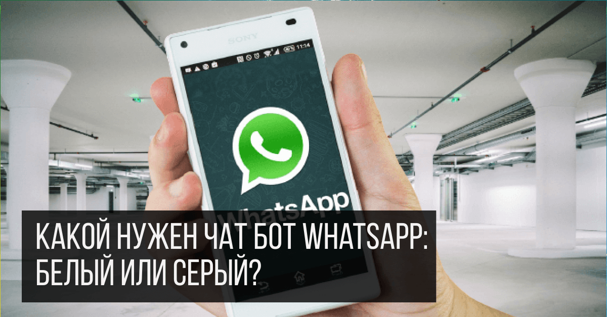 Серый ватсап. Белый и серый вотсап. Официальный и серый WHATSAPP. Страшные боты в ватсапе. Бой ватсап белый.