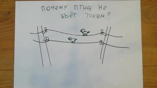 Вот почему птиц, сидящих на проводах, не бьет током