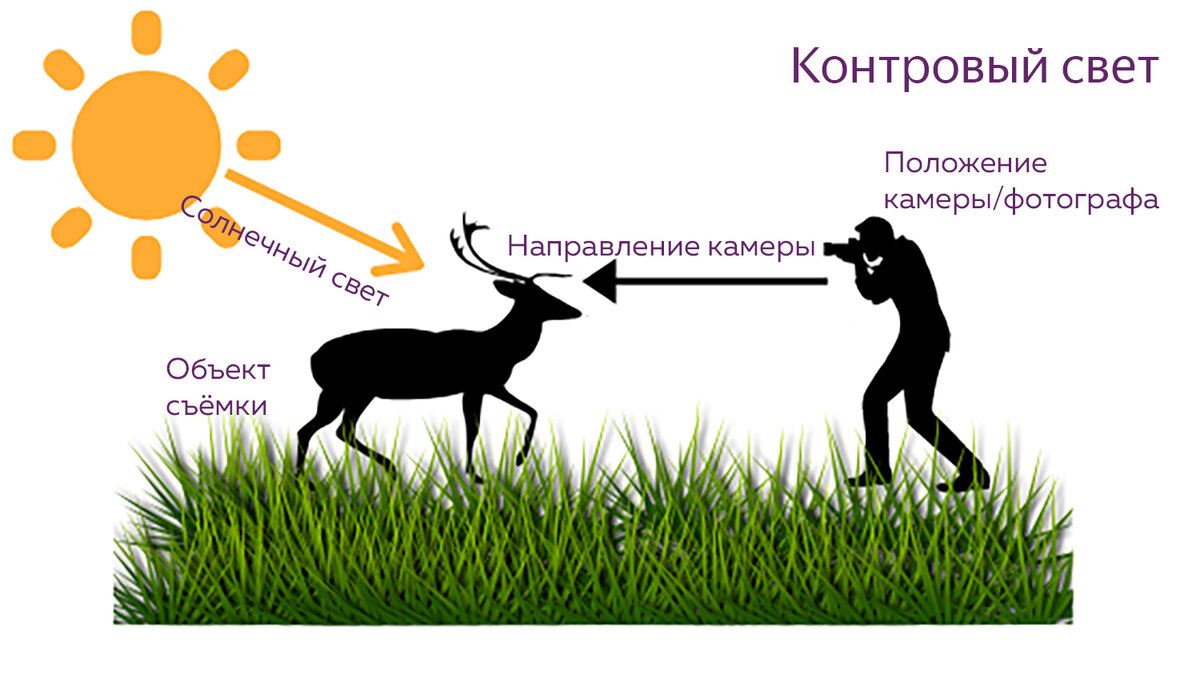 Предлагают выбрать свету