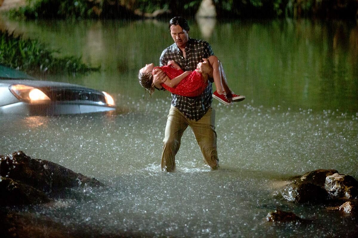 Репродукция, 2019