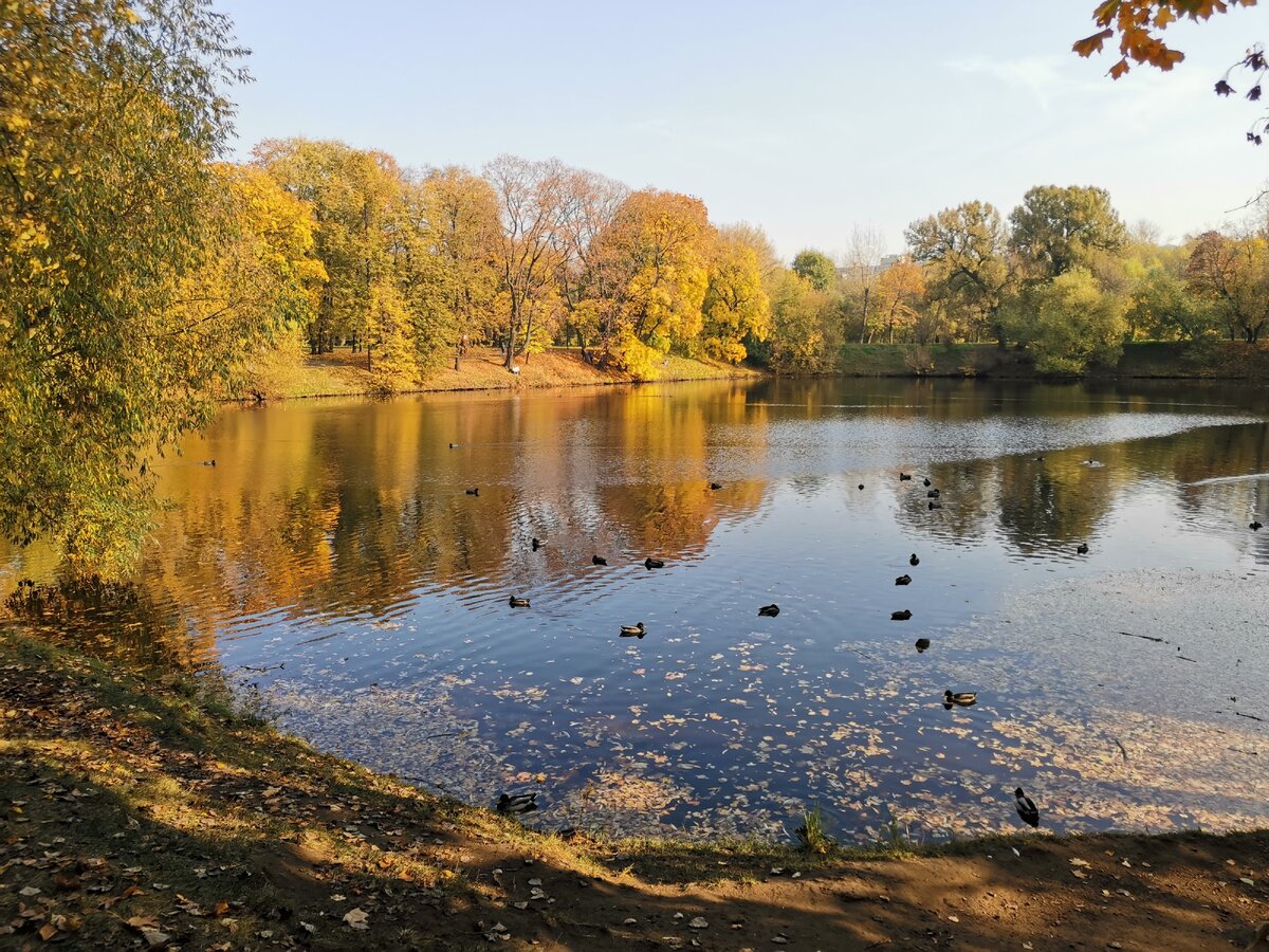 Лефортовский парк стадион