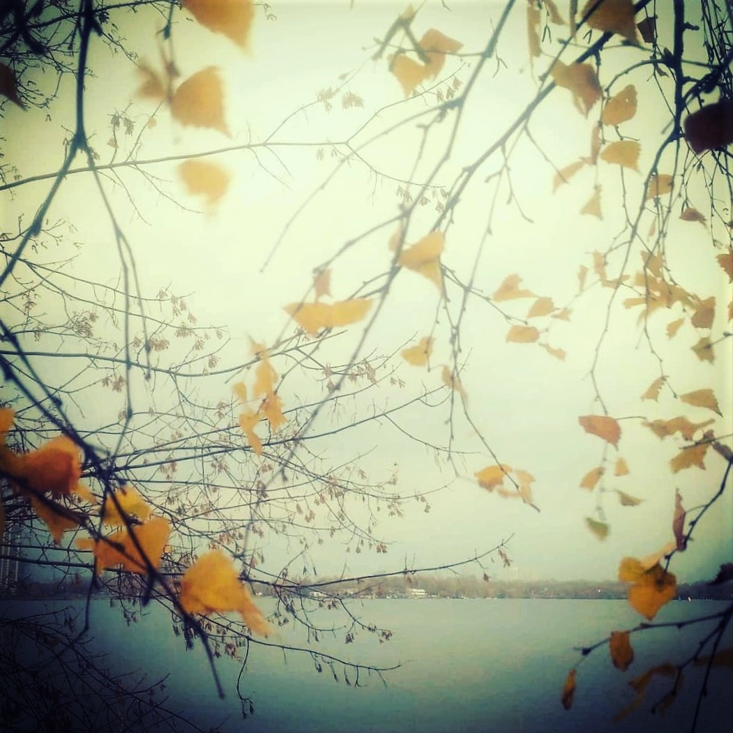 Фотографии авторские. 21 октября 2019.