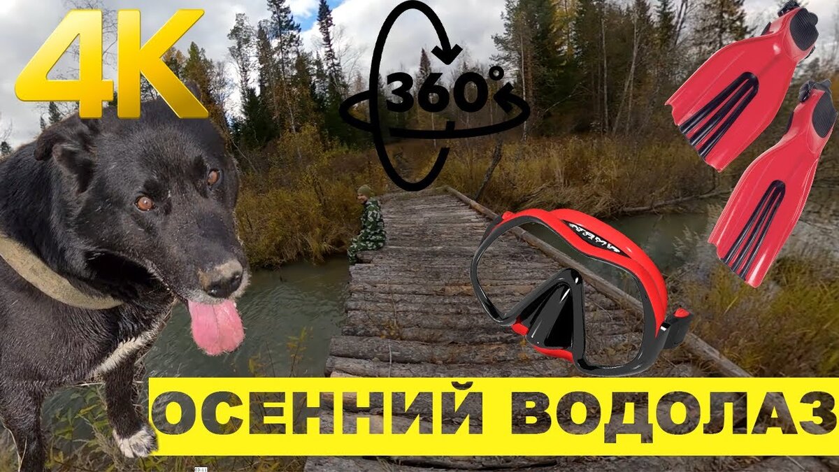 Хотел снять тестовое видео для VR очков в 360 градусов, но пёс по кличке Малыш внезапно внес в него изюминку.