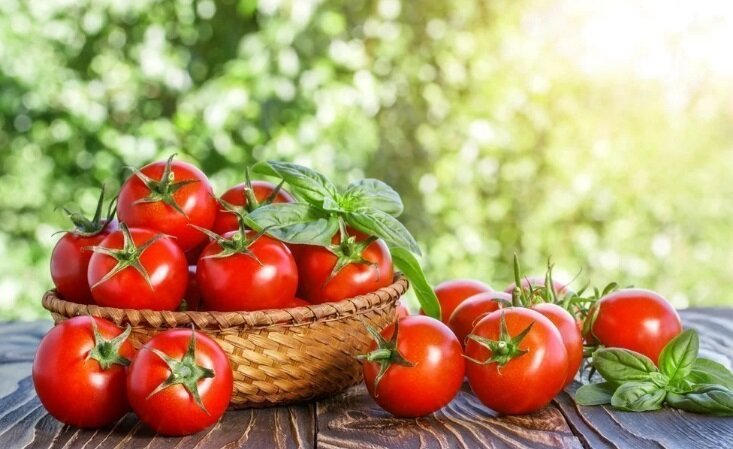 Image source: Yandex.Pictures