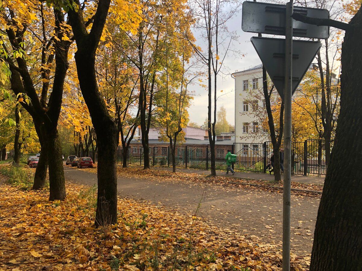 Теперь гуляем и наслаждаемся золотой осенью