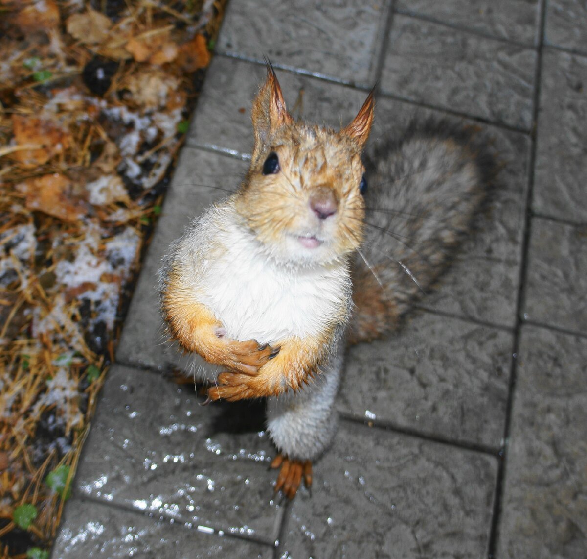 Мокрый снег и дождик не помеха фотосессии
