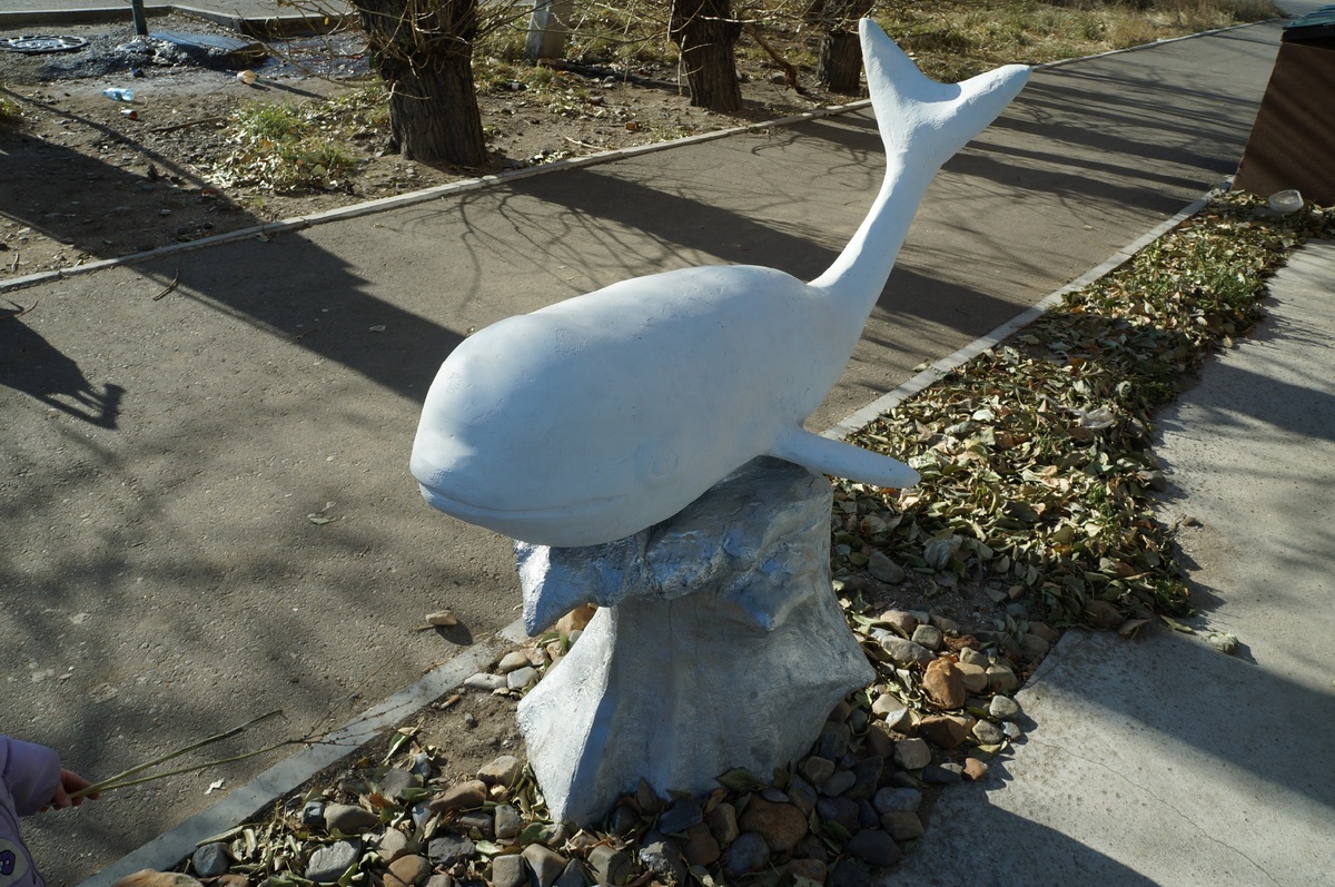 Фото автора