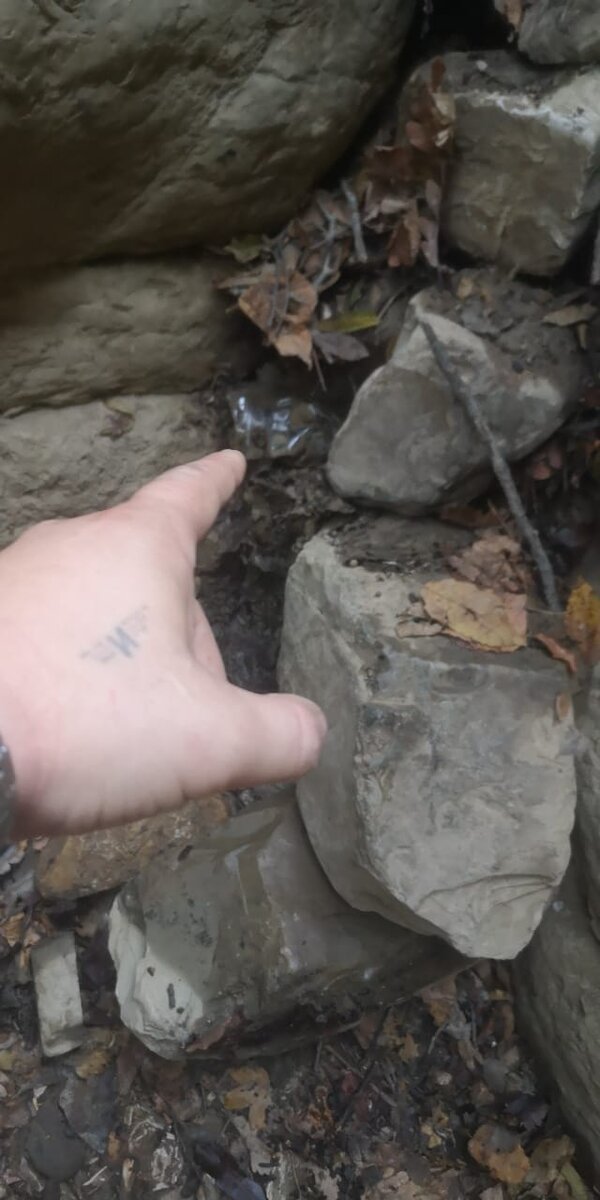 4 часа поисков понадобилось его семье чтобы найти. 