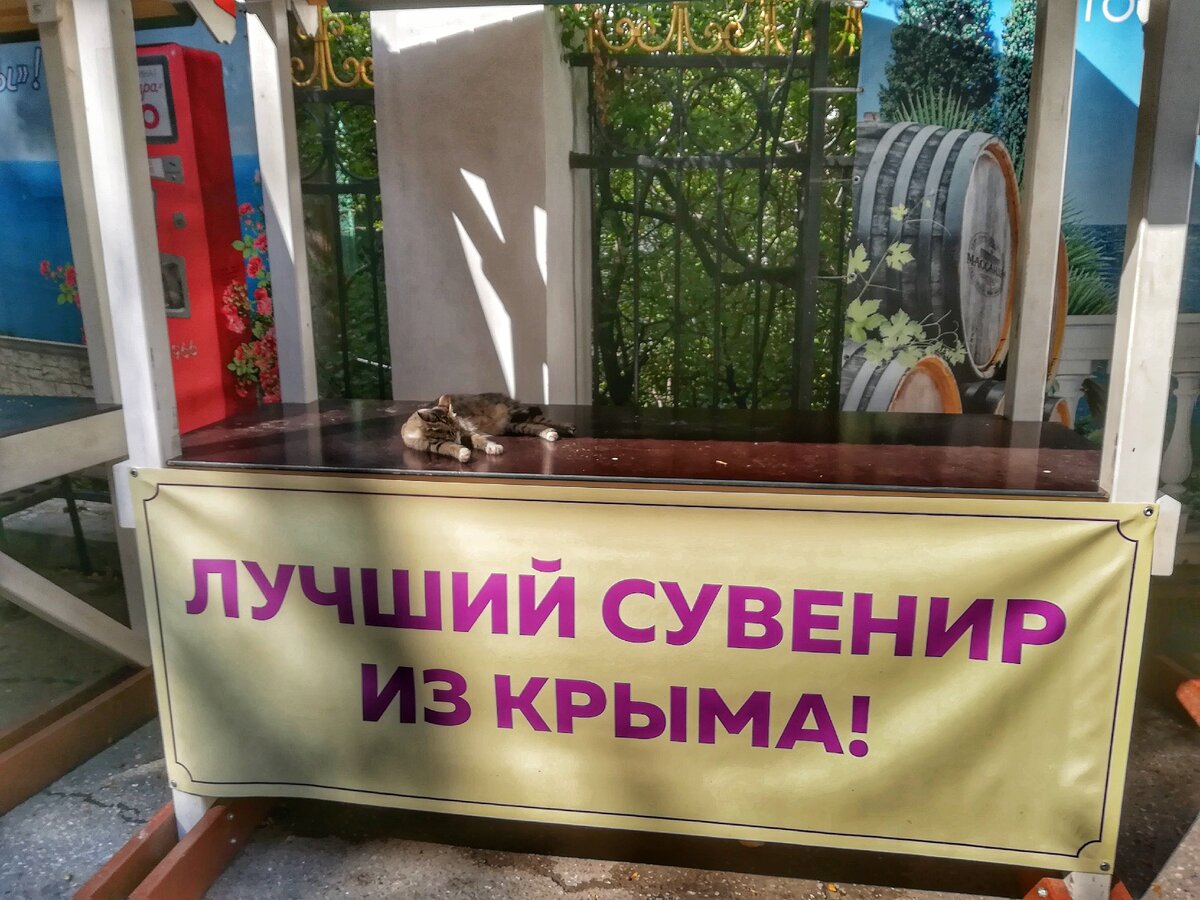 Масандра 2018г. Фото автора канала 
