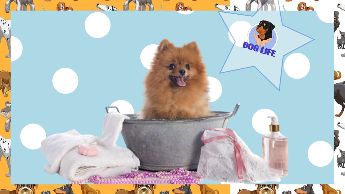 Подписывайтесь на канал! Будет интересно!