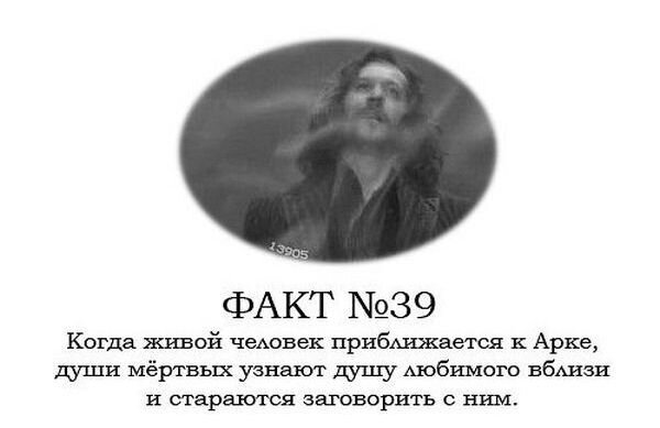 Поттер факты. Факты о Гарри Поттере. Гарри Поттер интересные факты. Интересные факты о Хогвартсе. 14 Фактов о Гарри Поттере.