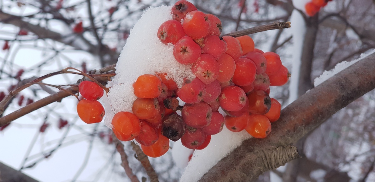 Фотография из личного архива автора. 