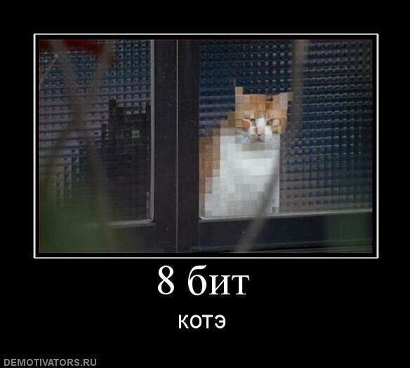 Котэ он и есть котэ. Что цифровое , что аналоговое.