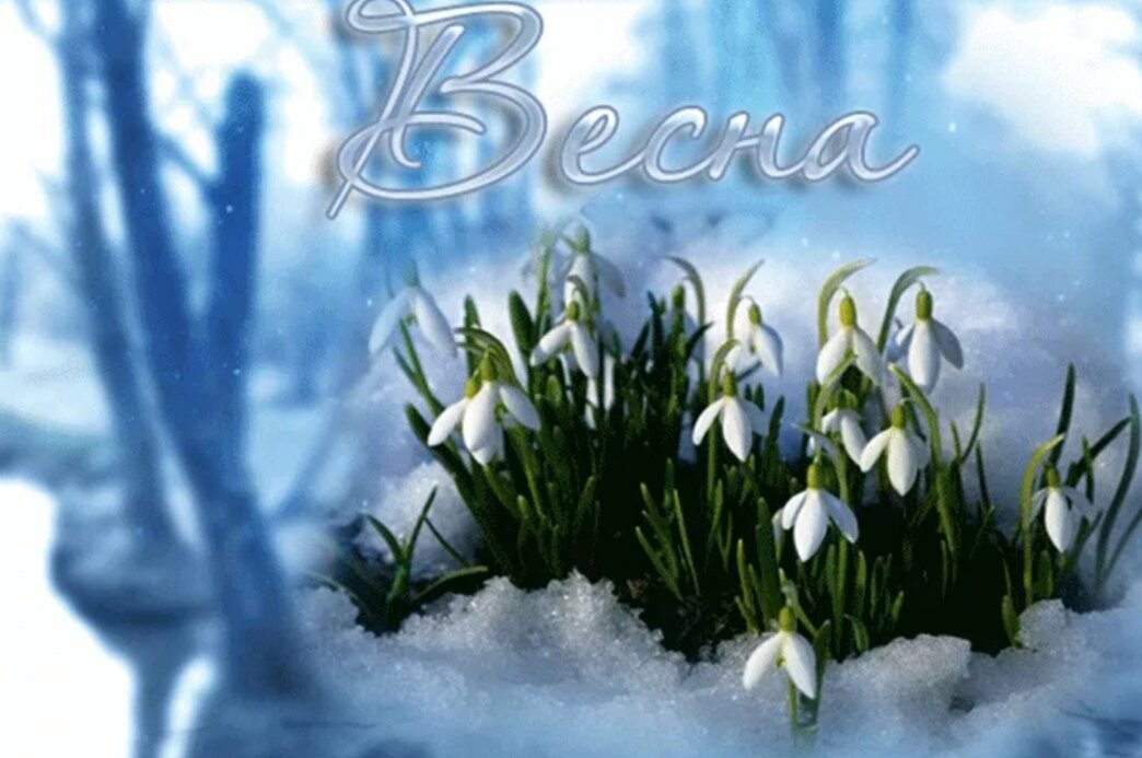 Фото из интернета 