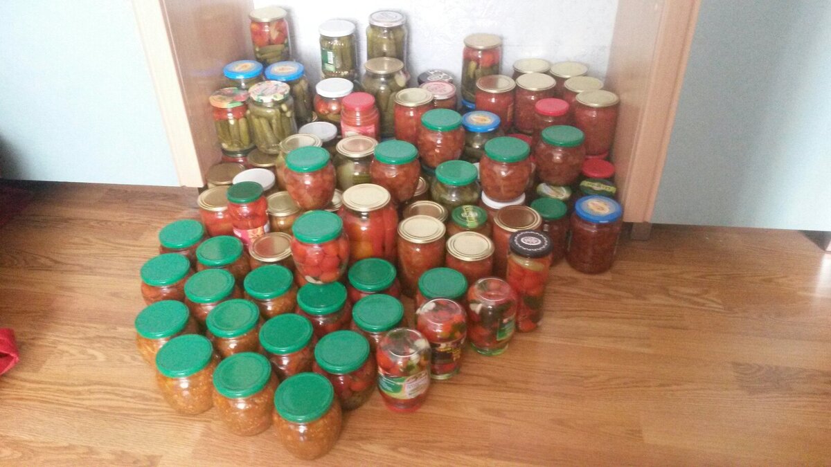 Фото не очень, зато реальное, из архива автора. Лето 2016 года