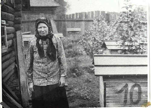 Моя бабушка Анастасия Алексеевна  в  деревне Вишур