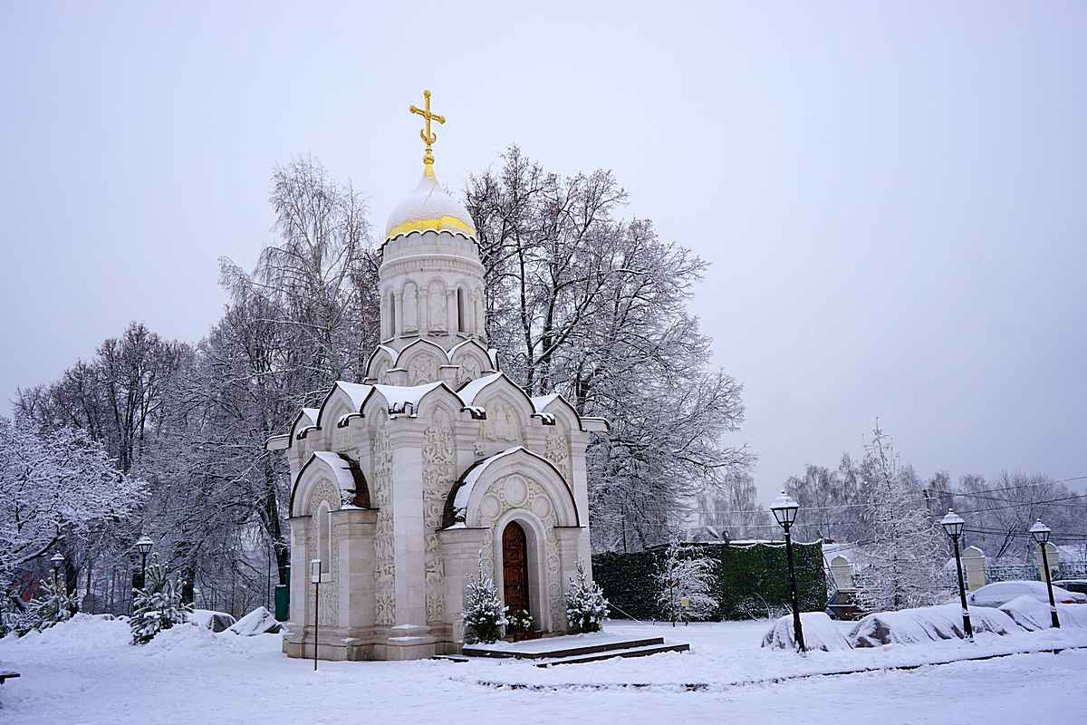 Уникальная икона в храме Александра Невского в Княжьем Озере | Записки ...