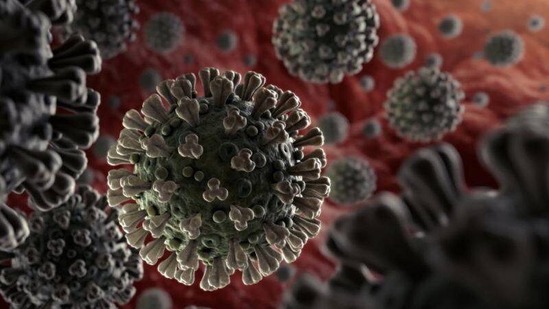 Источник фото: www.bbc.com