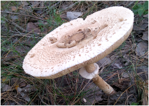 Ставьте лайки и подписывайтесь на мой канал