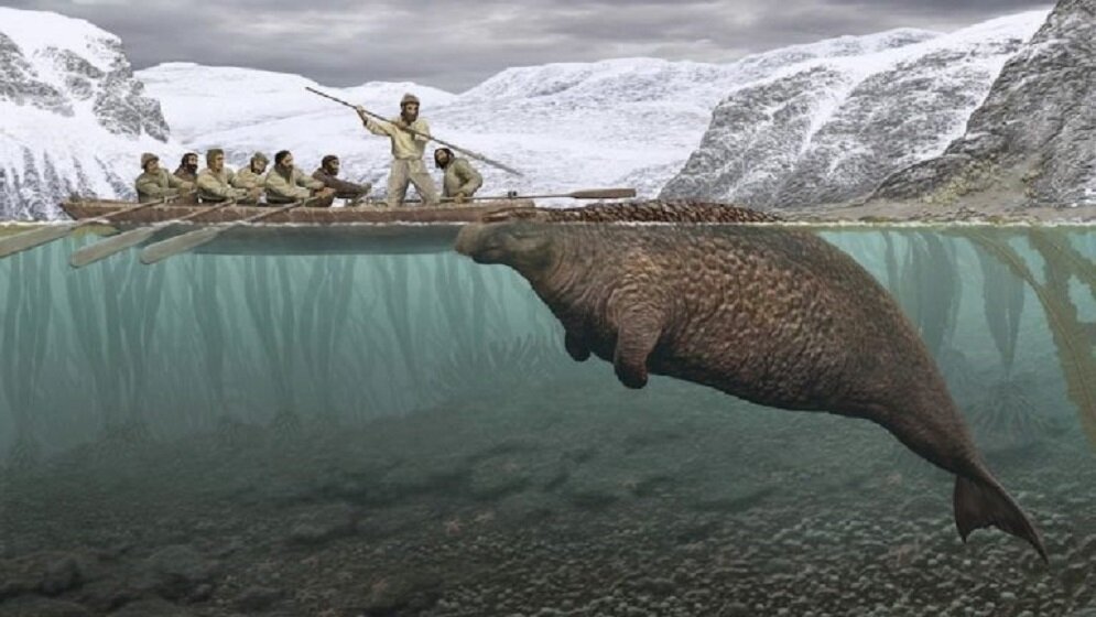 Охота на морскую корову. Картинка из свободного доступа. 
