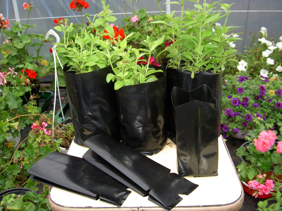 Горшочки "самолепные"