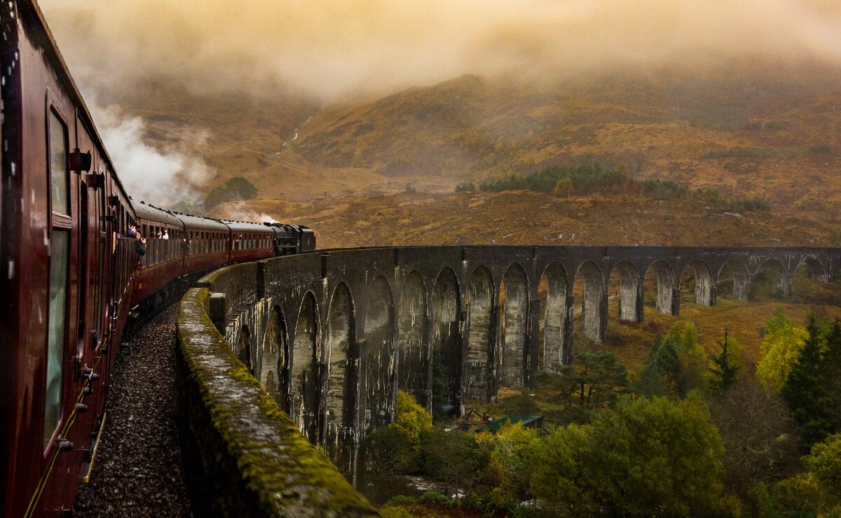The Magic World of Harry Potter 