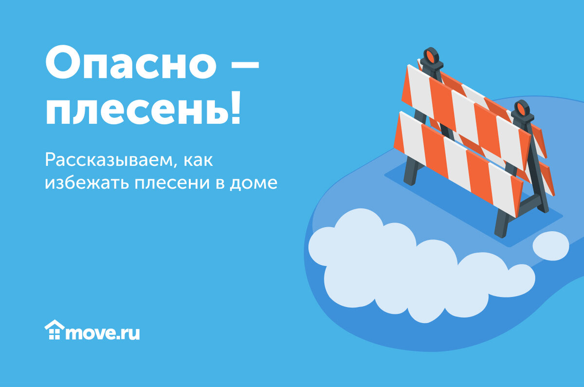 Опасно – плесень! Рассказываем, как избежать плесени в доме? | Move:  недвижимость и новостройки | Дзен