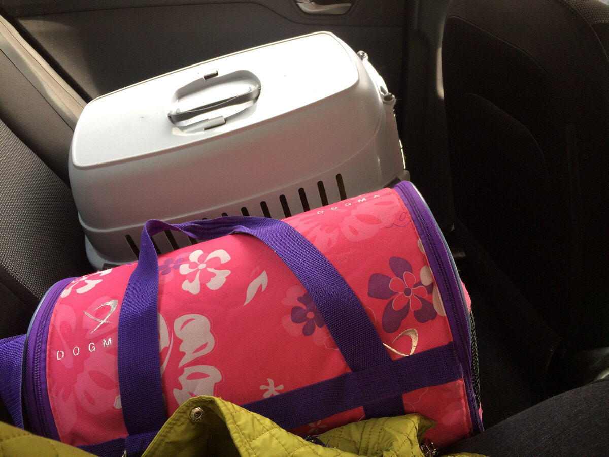 Едем в такси. Фото автора