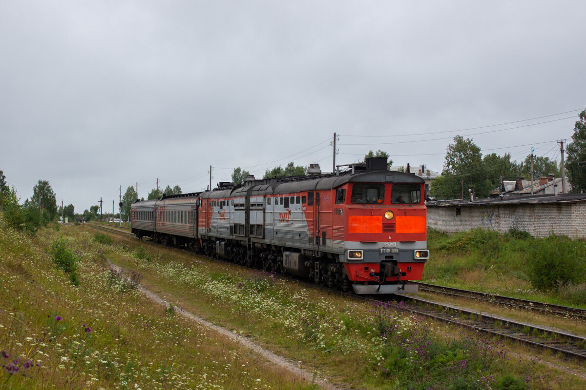  2ТЭ10М-0879 при работе его в ТЧЭ-9 Лянгасово, Кировская область, станция Кирс, август 2019 года, фото с сайта https://trainpix.org/, автор Кайсин Игорь