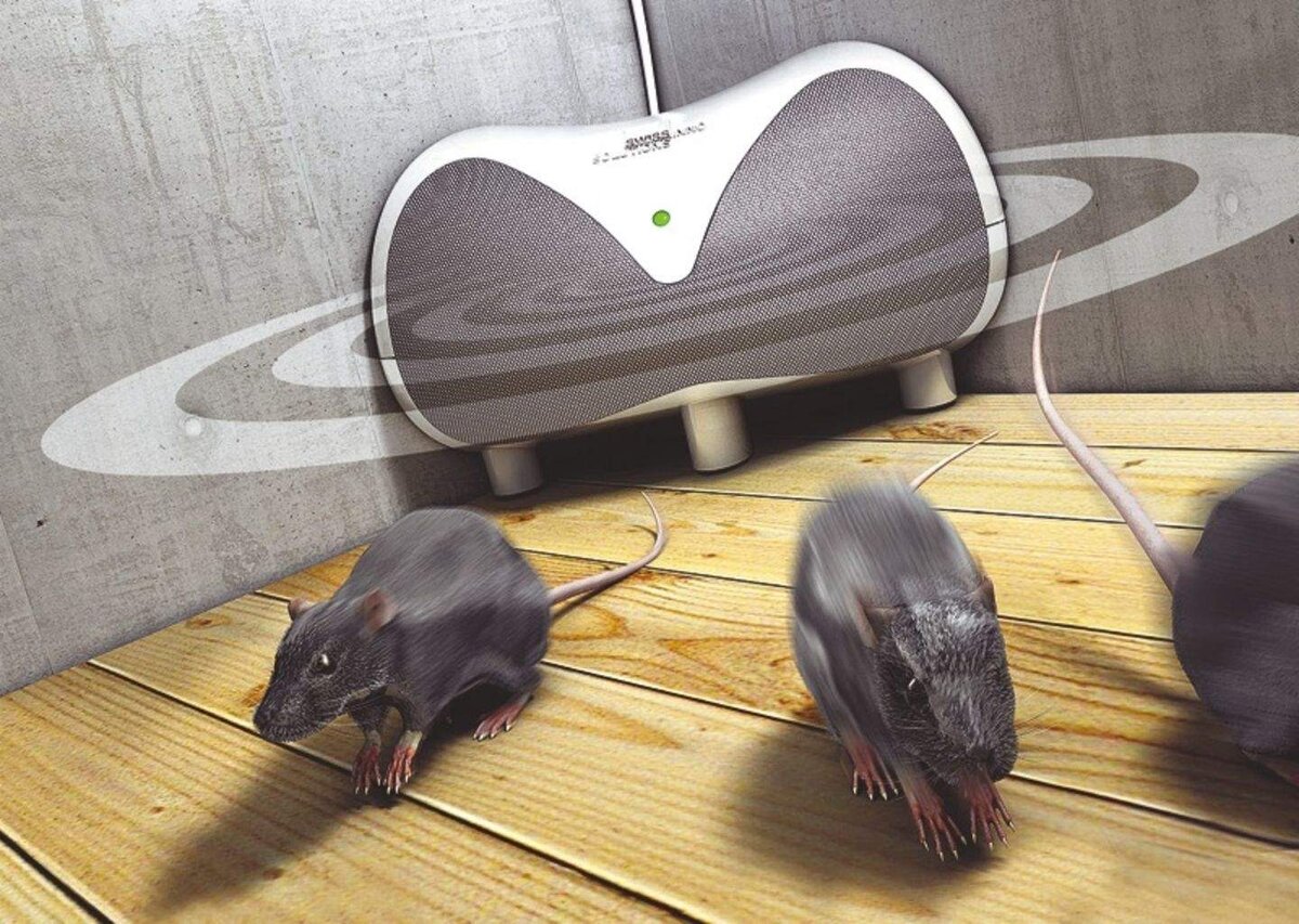 Отпугиватель крыс и мышей ЭлектроКот