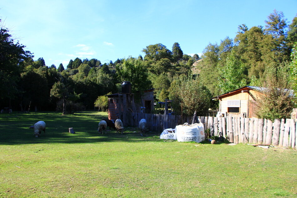 la Comunidad Mapuche Curruhuinca