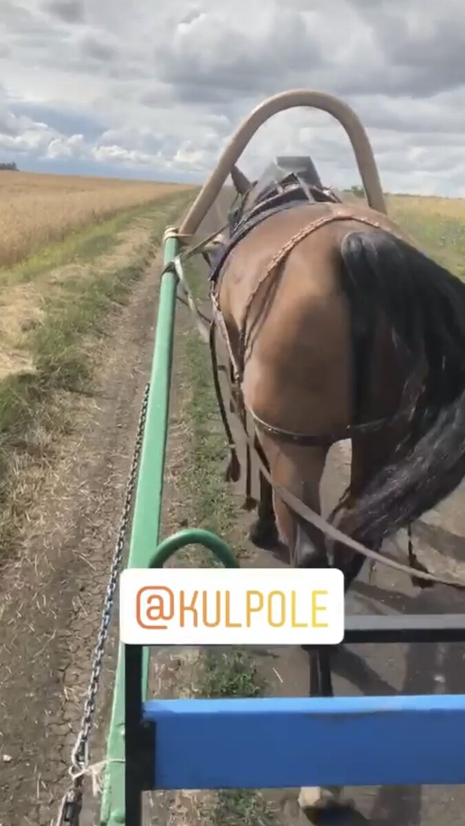 Экскурсия на бричке от Конного двора 