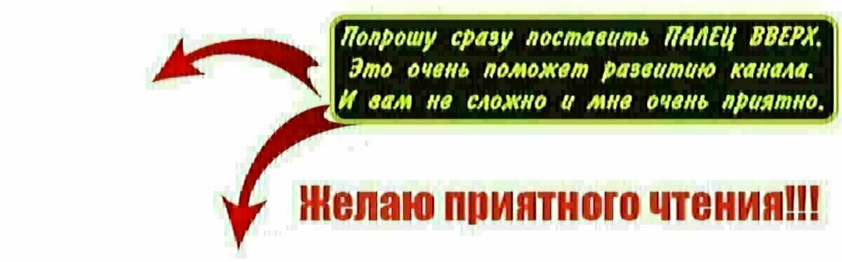         Конец декабря — не лучшее время для сельскохозяйственных работ, однако теплицы были засажены, здесь особенно чувствуется исключительное трудолюбие китайцев: ухожен каждый кустик, чисто и...